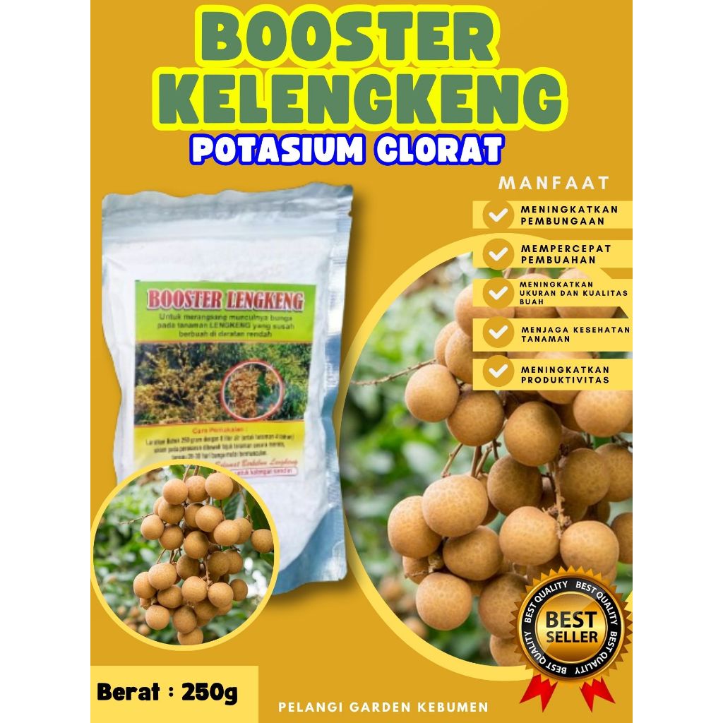 BEBAS JAMUR  Booster Kelengkeng New Kristal Cangkok, Booster Kelengkeng New Kristal Berbuah, Booster