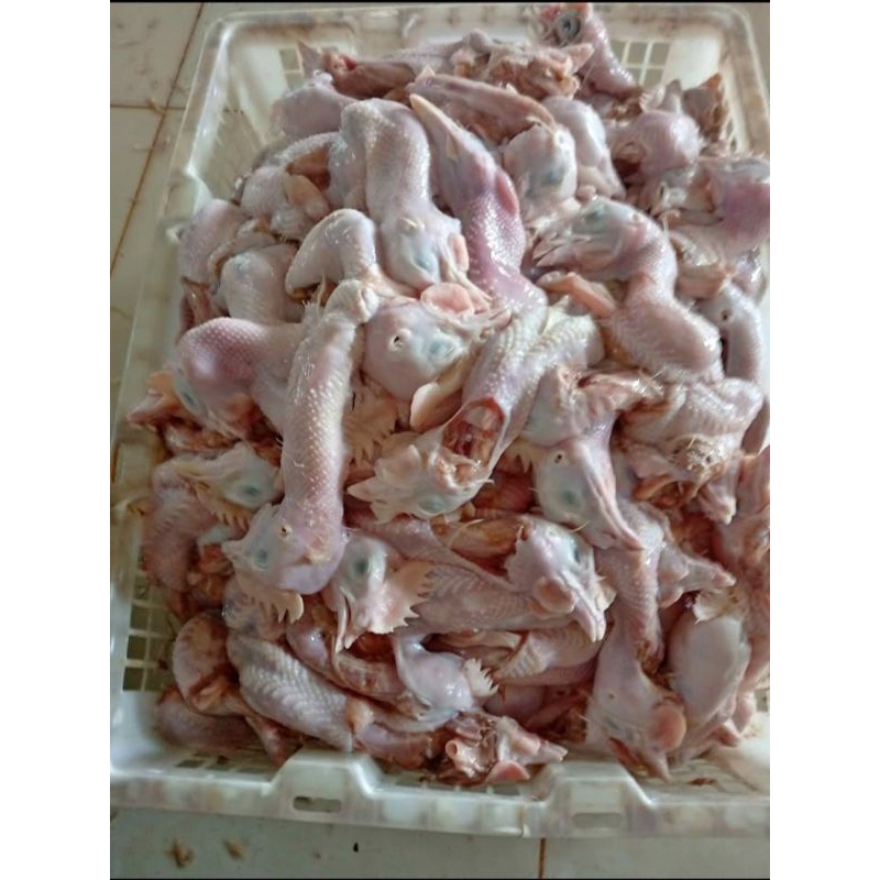

Kepala ayam mentah Fresh 1 kg