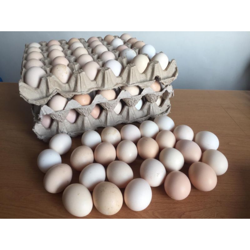 

Telur Ayam Kampung Asli 1 Butir
