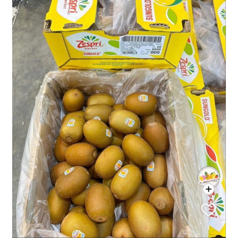 

Buah Kiwi Zespri Golden Premium / Buah Kiwi Kuning Zespri 5,5 Kg / Dus