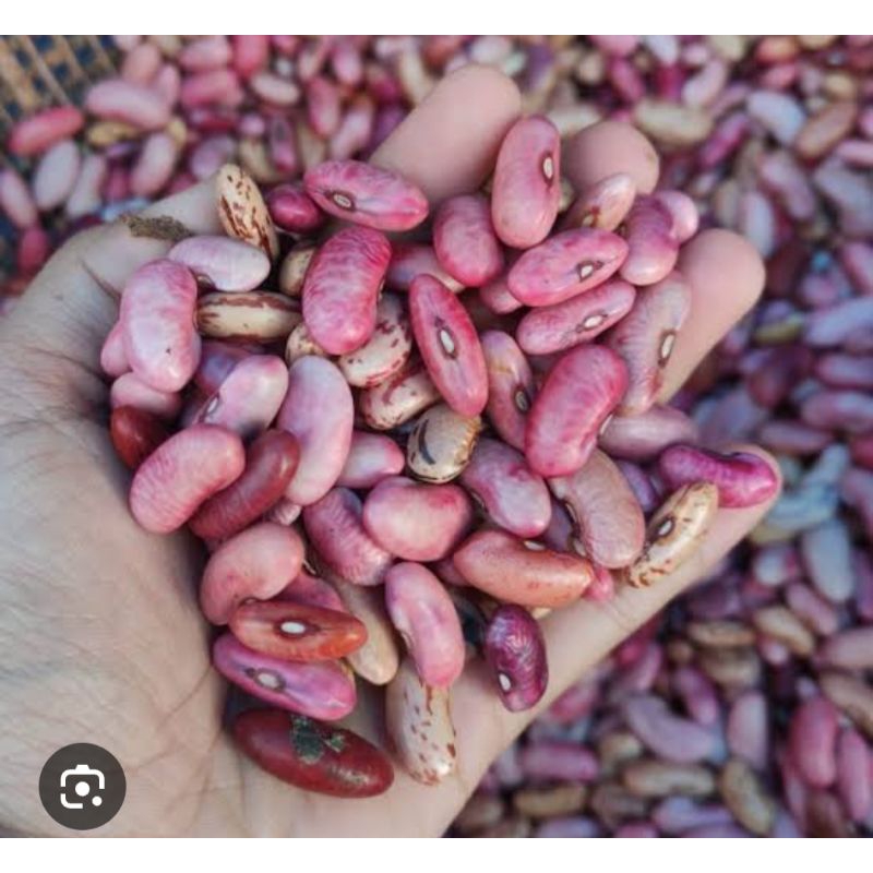 

KACANG MERAH BASAH