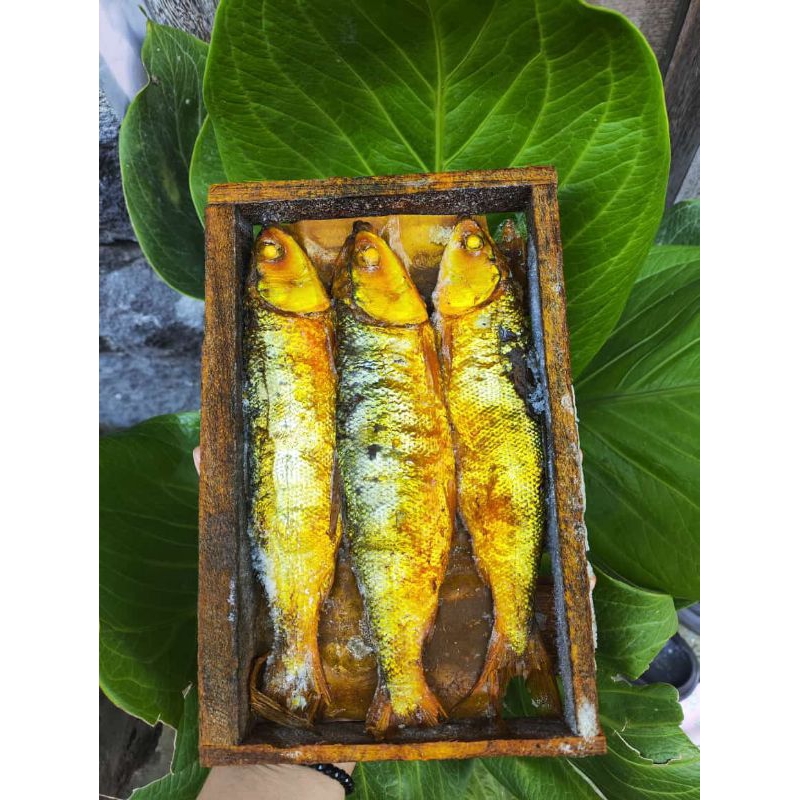 

Titik Frozen | Bandeng presto papan isi 3 asli Juwana Pati