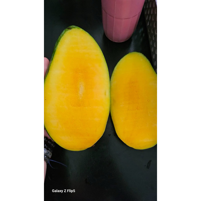 

mangga Kiojay Thailand MATANG manis