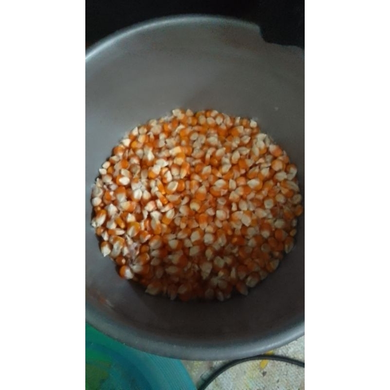 

JAGUNG GILING