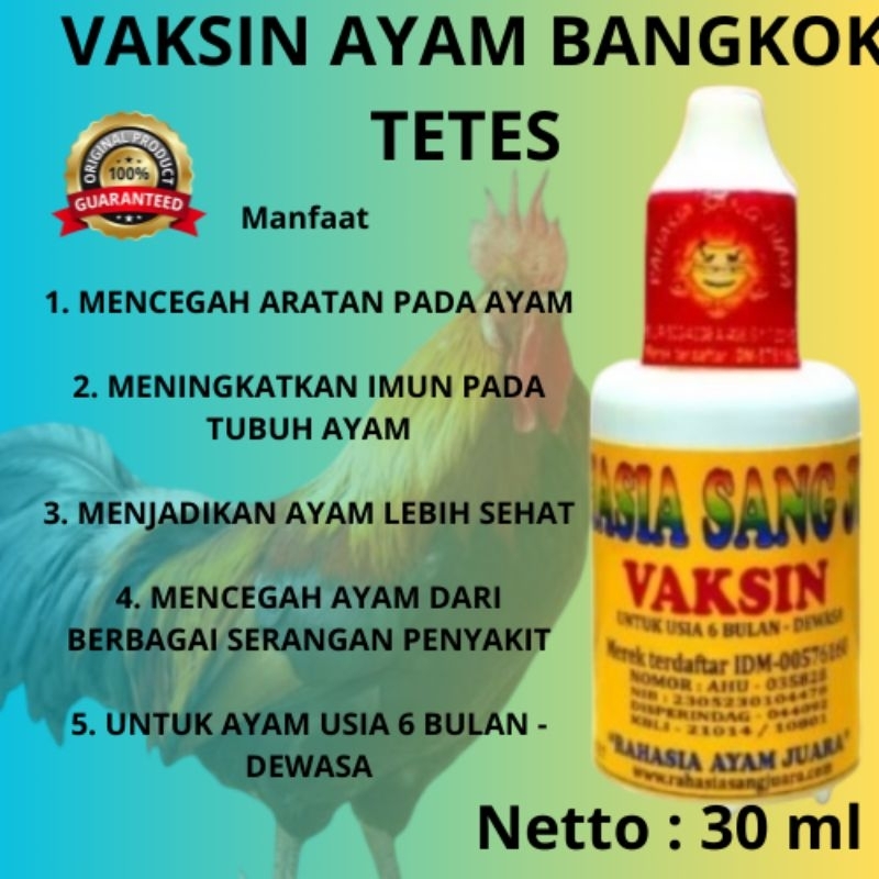 Livvicstore Vaksin Ayam Bangkok Usia 6 Bulan - Dewasa