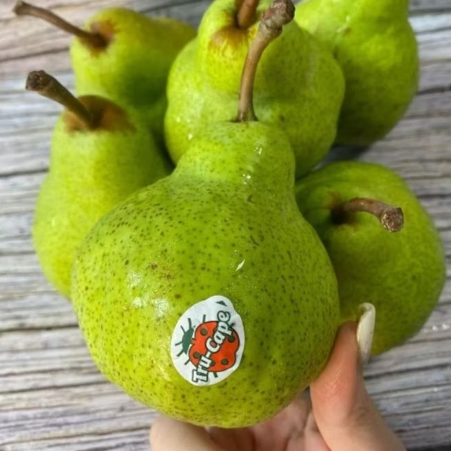 

PIR PACKHAM MANIS GARING 1kg