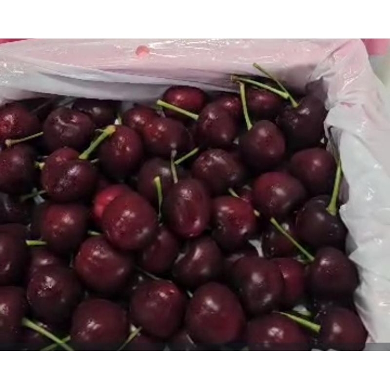 

Cherry Import Perkilo