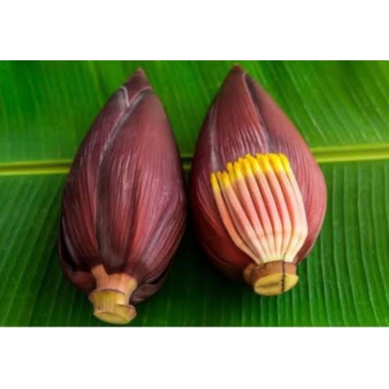 

1 buah jantung pisang kepok asli / ontong pisang / otomg pisang
