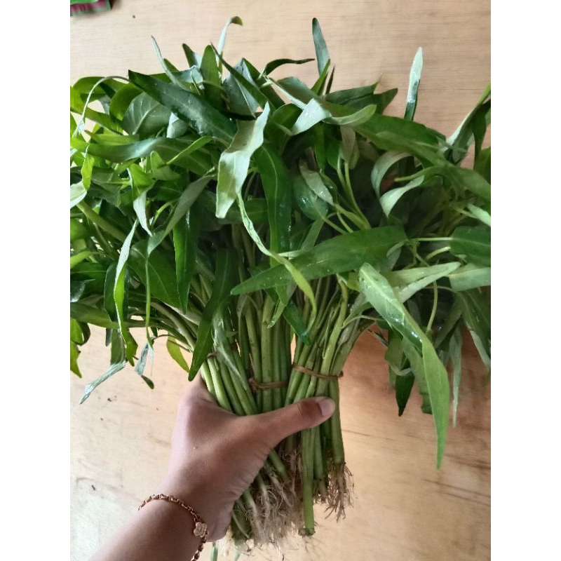 

Kangkung Fresh