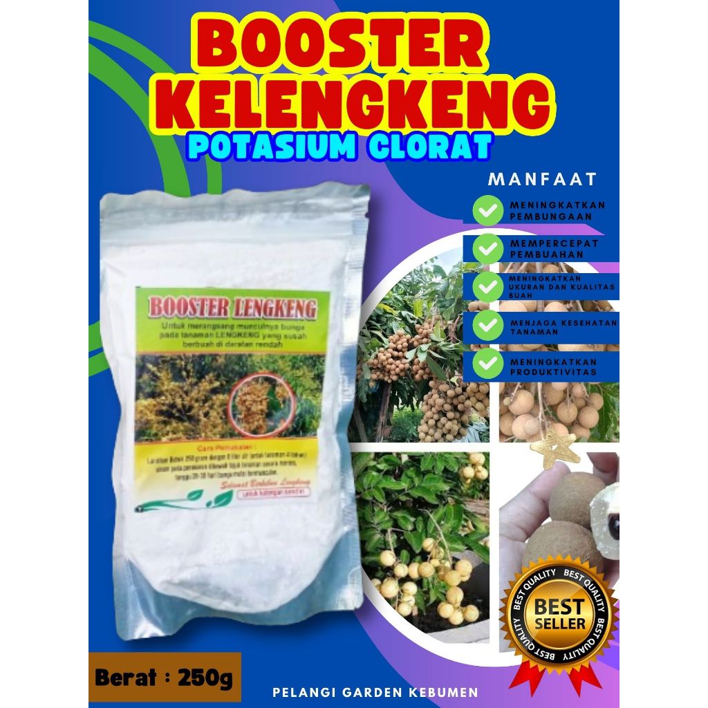 TERBAIK  Booster Buah Kelengkeng Kcl03 Murni, Booster Buah Kelengkeng Kcl03 Murni 1Kg