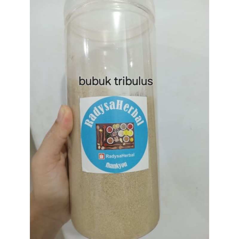 BUBUK TRIBULUS MURNI ASLI ALAMI BERKHASIAT