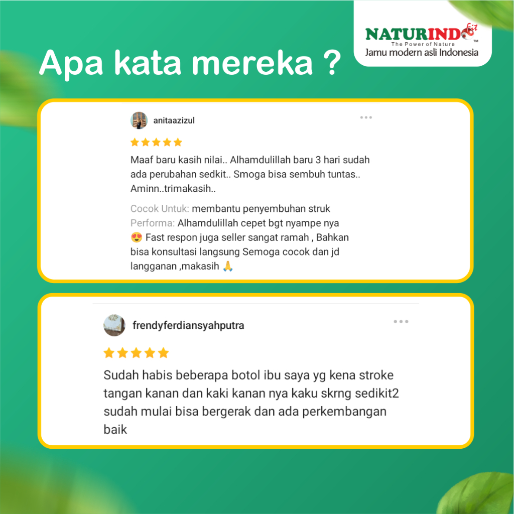 Craneyyeye Obat Herbal Sakit Stroke Struk Strok Setruk Struke Carsifit Untuk Stroke Tremor Herbal