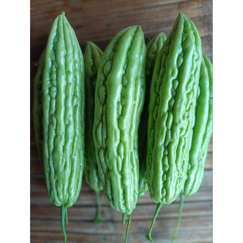 

sayur pare / peria 500 gram & 1000 gram