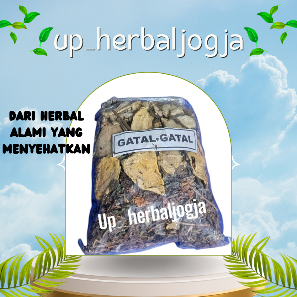 

Gatal-Gantal Herbal Jogja/jamu herbal/ jamu godog