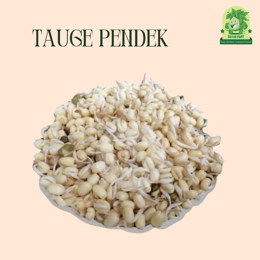 

Tauge Pendek 100 Gram