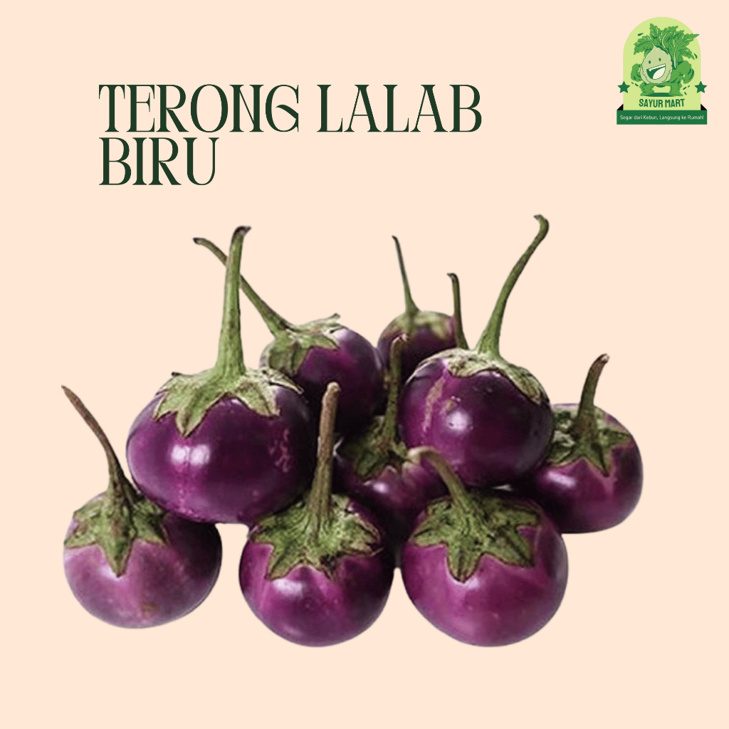 

Terong Lalab Biru 250 Gram