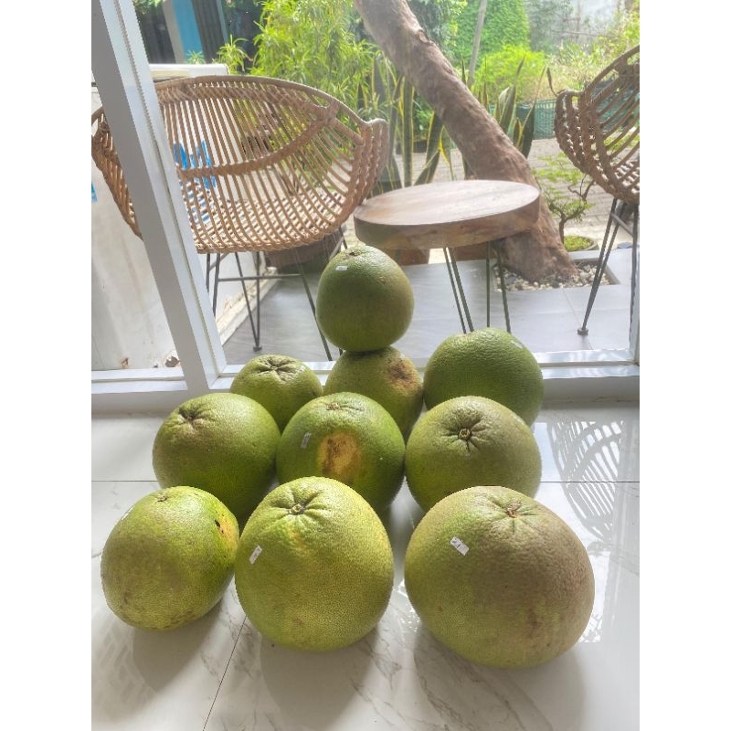 

Jeruk Pamelo / Jeruk Bali