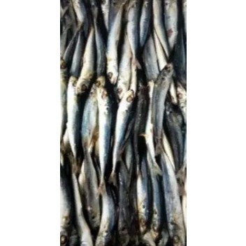 

IKAN ASIN REBUS DENCIS/SERAI STOK TERBARU