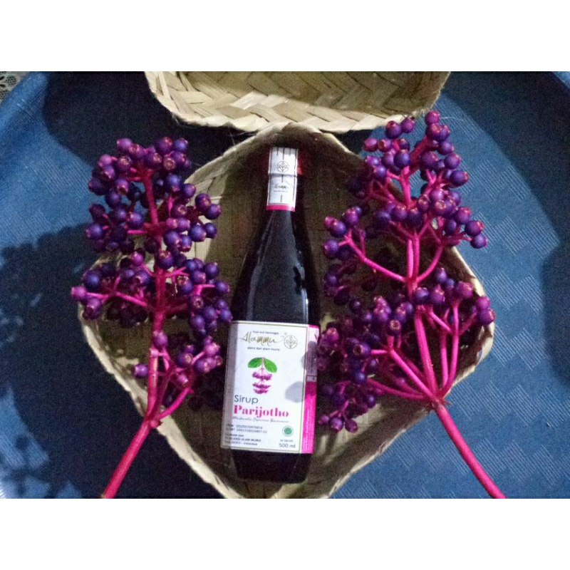 

Sirup Parijoto Promil Dan Bumil 500 ML Bonus Buah Parijoto 100 Gram