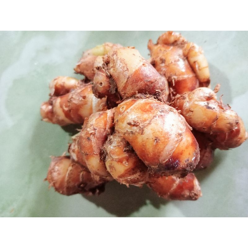

KENCUR FRESS JUMBO.KENCUR TUA.CIKUR SEBLAK 5 KG