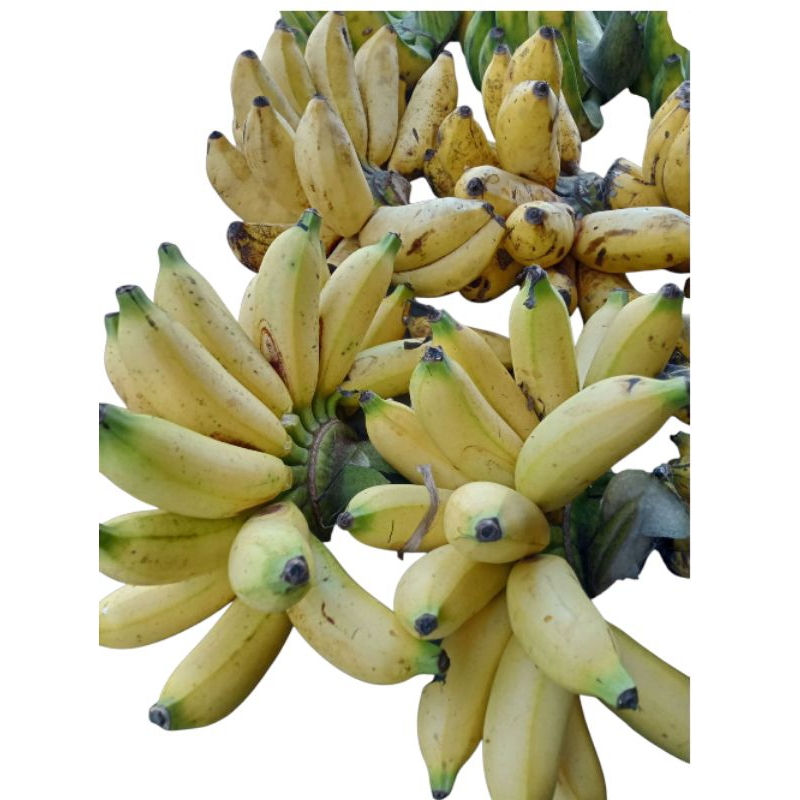 

pisang buah/ pisang barlin 1sisir