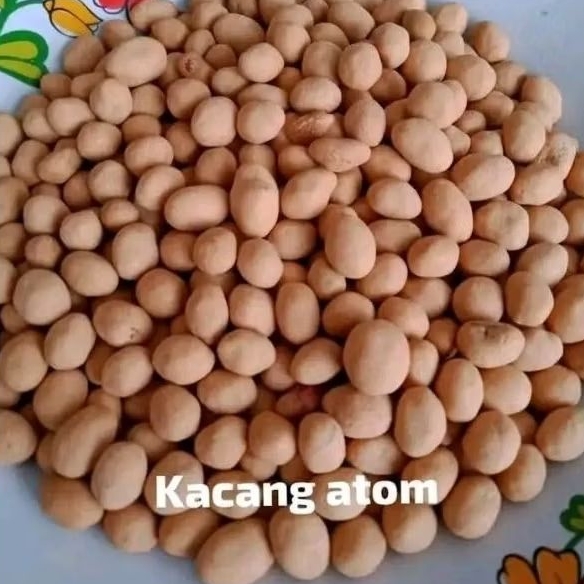 

KACANG ATOM 1KG (1000GR) - KACANG OVEN - SNACK CEMILAN MURAH HEMAT