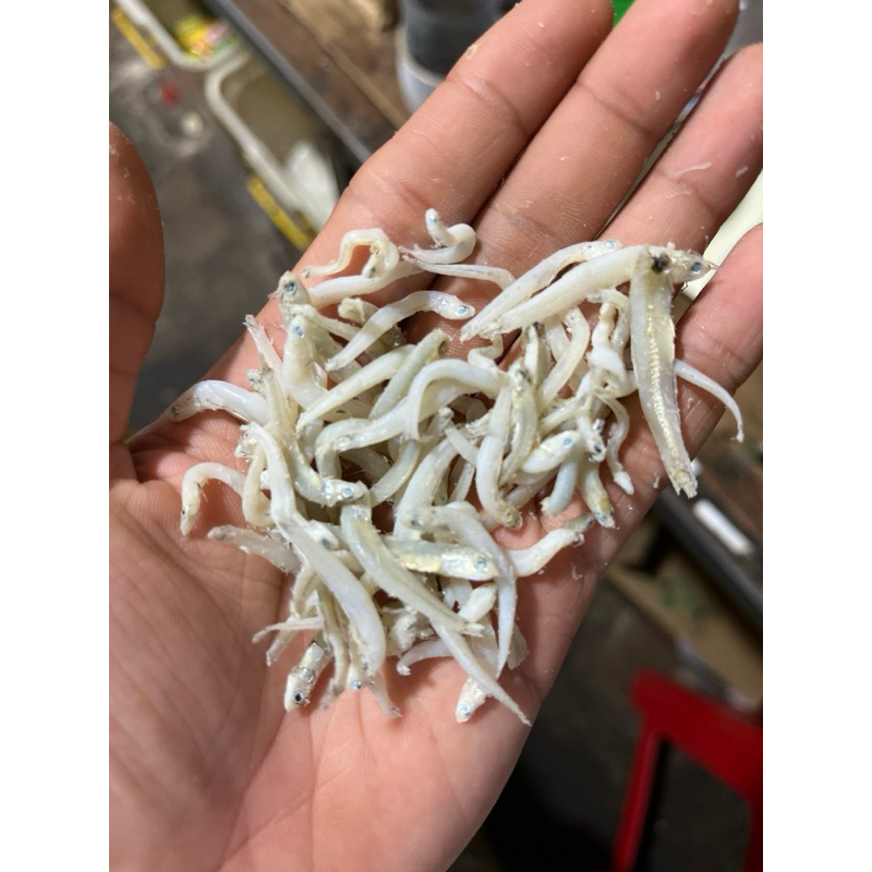 

TERI MEDAN SUPERR 250gr/1kg