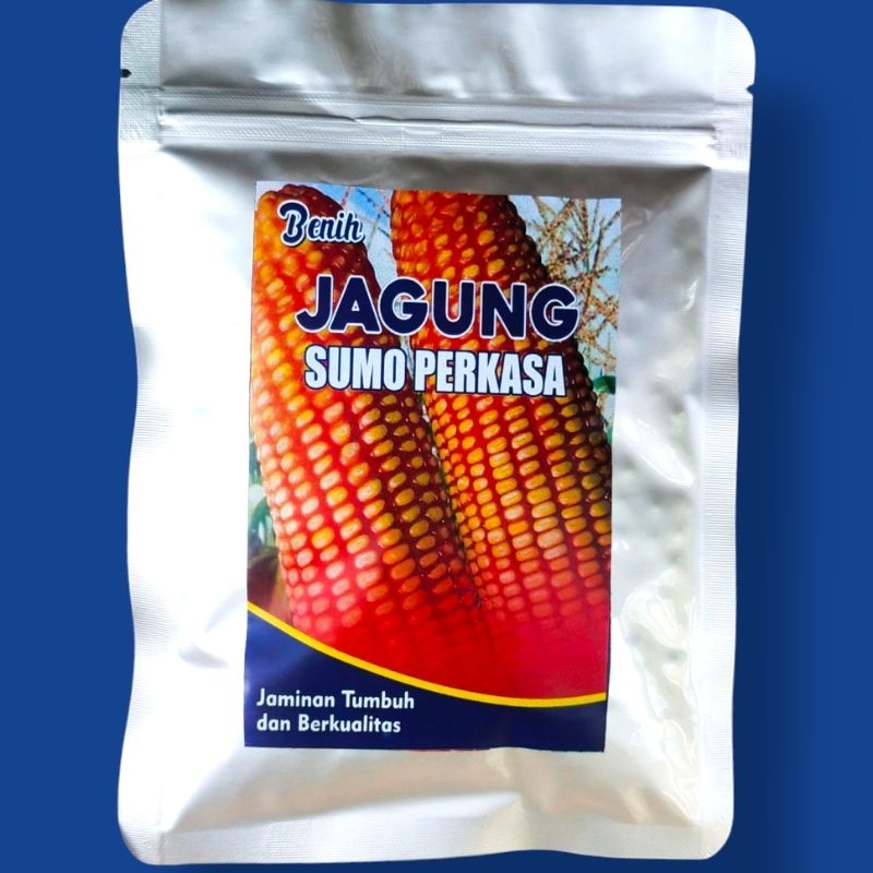 Benih jagung sumo perkasa Original berkualitas tinggi 100 g siap tanam [Bibit jagung sumo perkasa] [