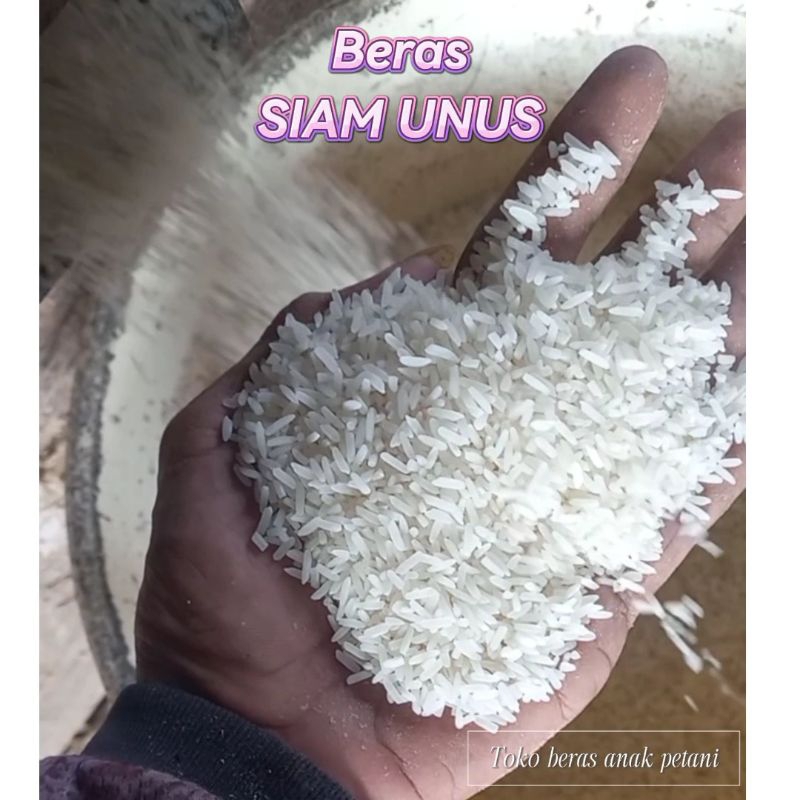 

BERAS SIAM UNUS ( Pabrikan sendiri / bukan beras stokan ( fresh ) beras siam mayang | beras banjar | beras paling di disukai orang banjar.