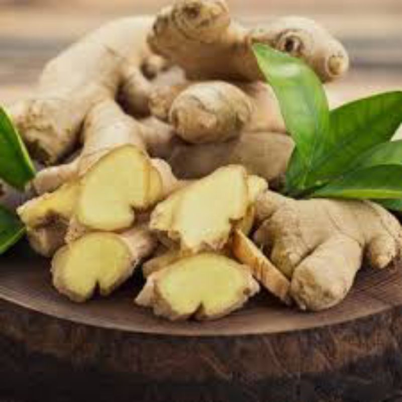 

JAHE pUTIH jahe gajah segar termurah