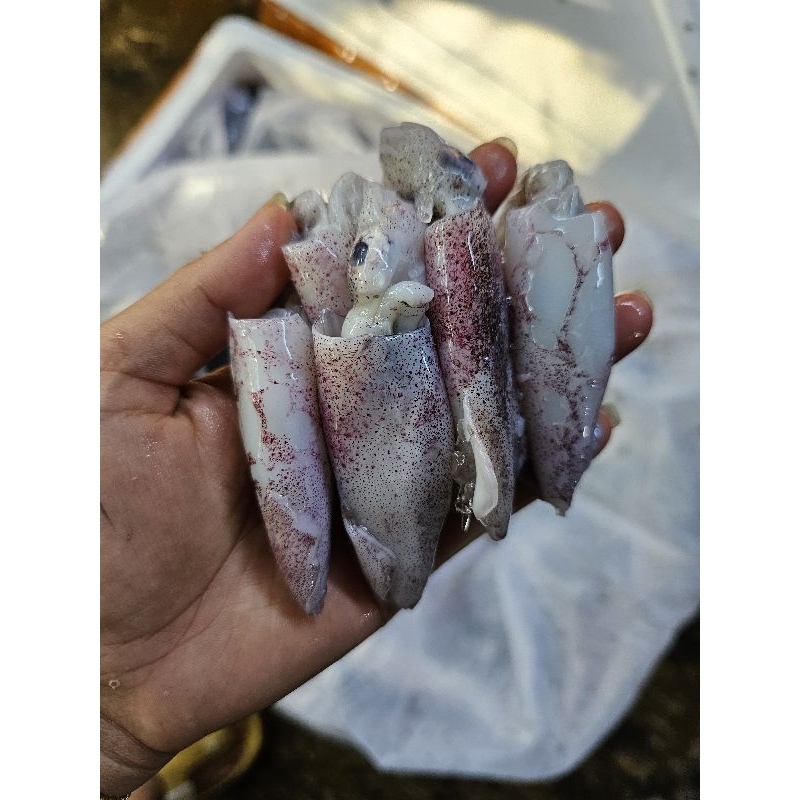 

BABY CUMI FRESH BEKU 1KG