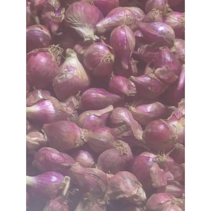 

bawang merah Brebes sayur segar