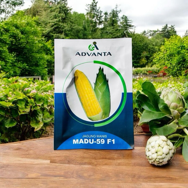 JAGUNG MANIS MADU - 59 f1,ADVANTA,BIBIT JAGUNG MANIS MADU - 59 f1