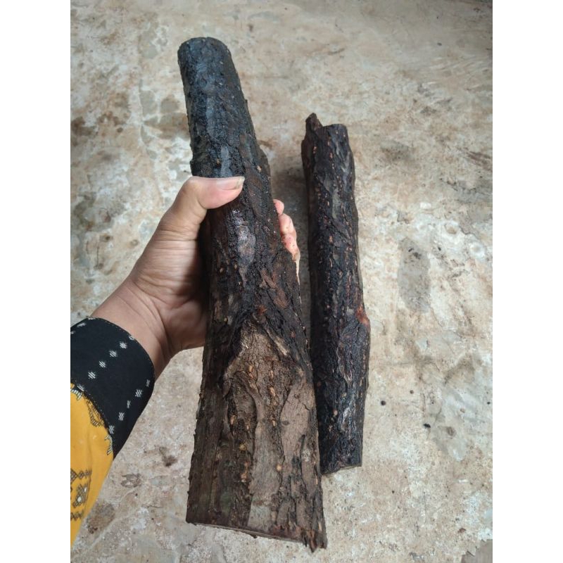 kayu setigi