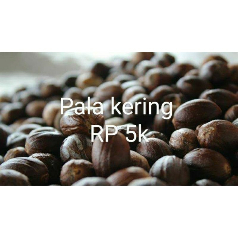

biji pala kering kualitas super