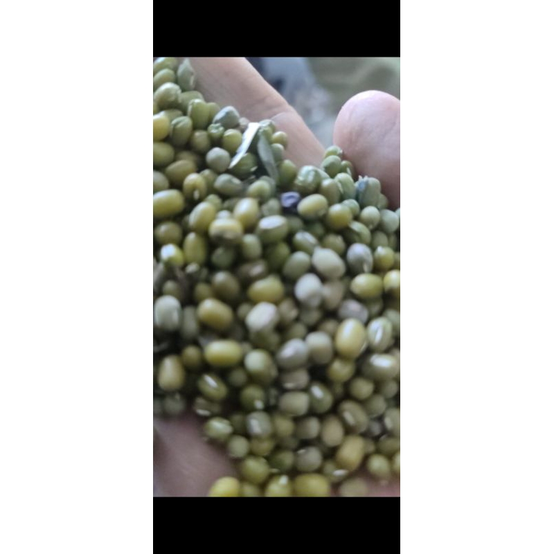 

promo kacang hijau bubur