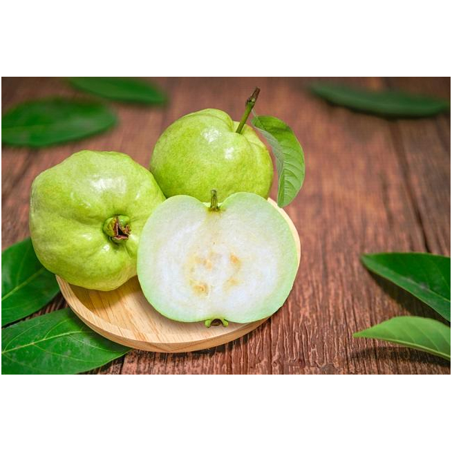 

jambu kristal tanpa biji / jambu kristal non biji isi 5 asli kebumen