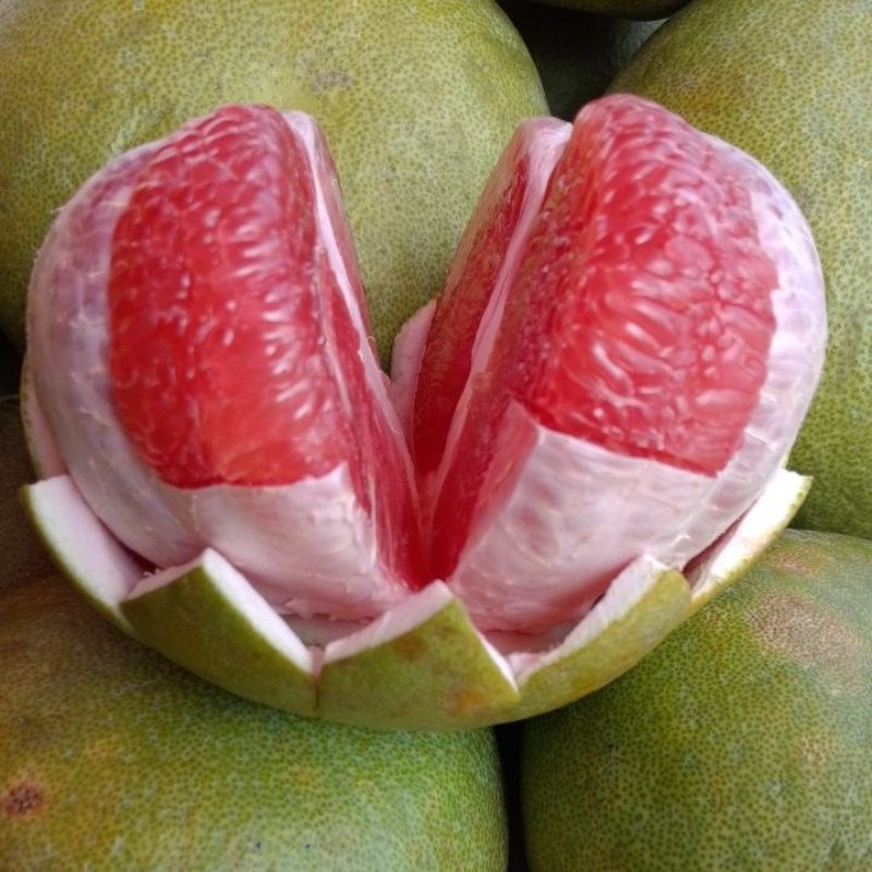 

JERUKBALIBESAR