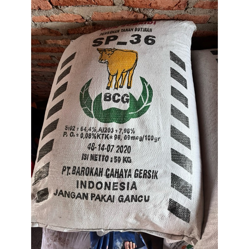 Pupuk SP-36