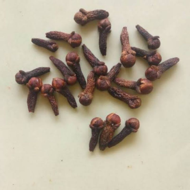 

KIRIM INSTANT Cengkeh 10 Biji