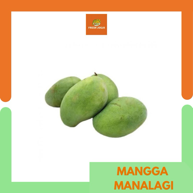 

Mangga Manalagi per Kg | Fresh Jogja