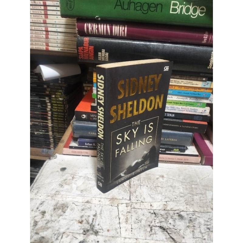 Novel THE SKY IS FALLING by Sidney Sheldon