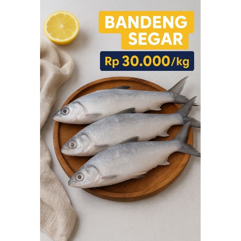 

Ikan Bandeng Frozen