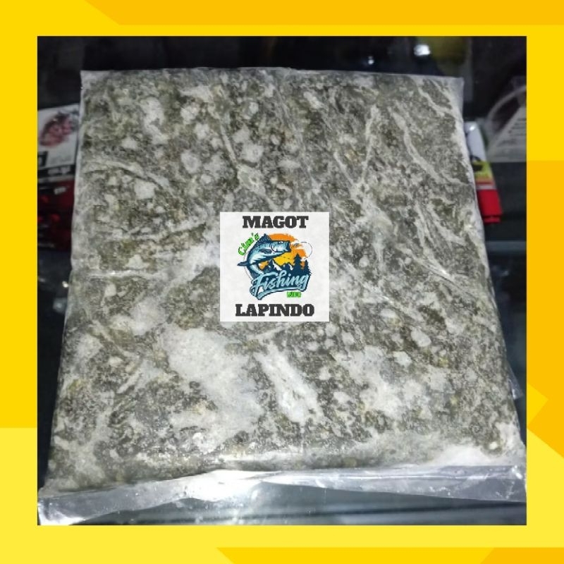 Umpan Magot Atau Lapindo, Galatama Lele