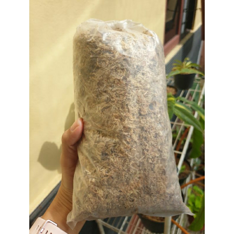 Spagnum Moss Premium