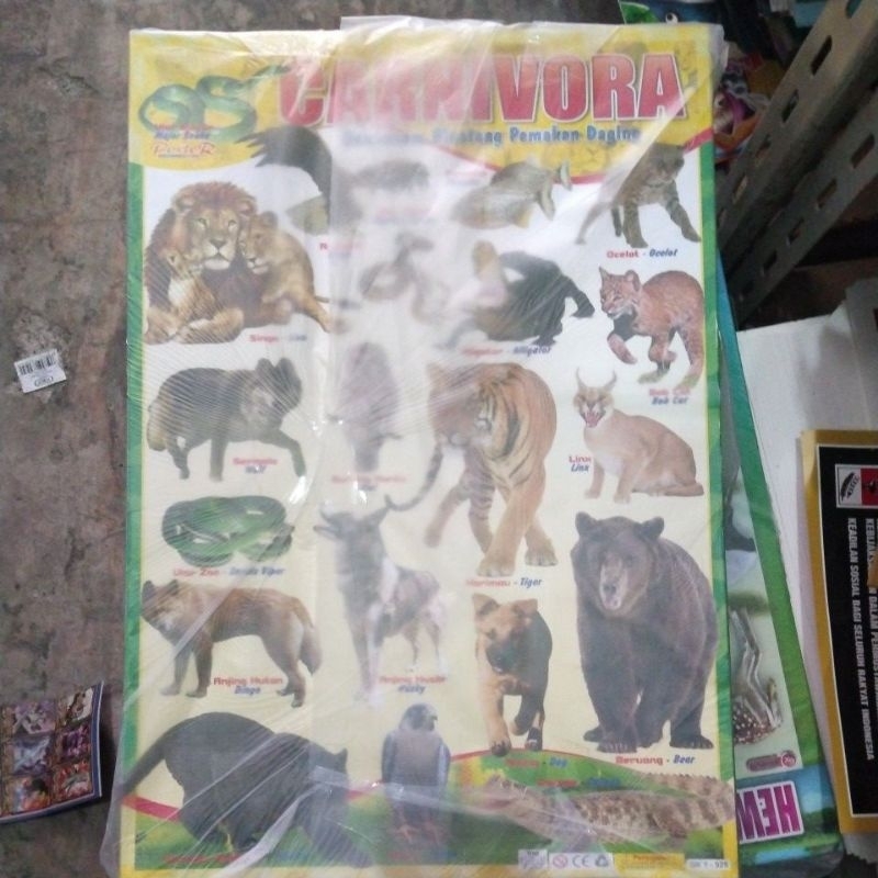 Poster Hewan Pemakan Daging