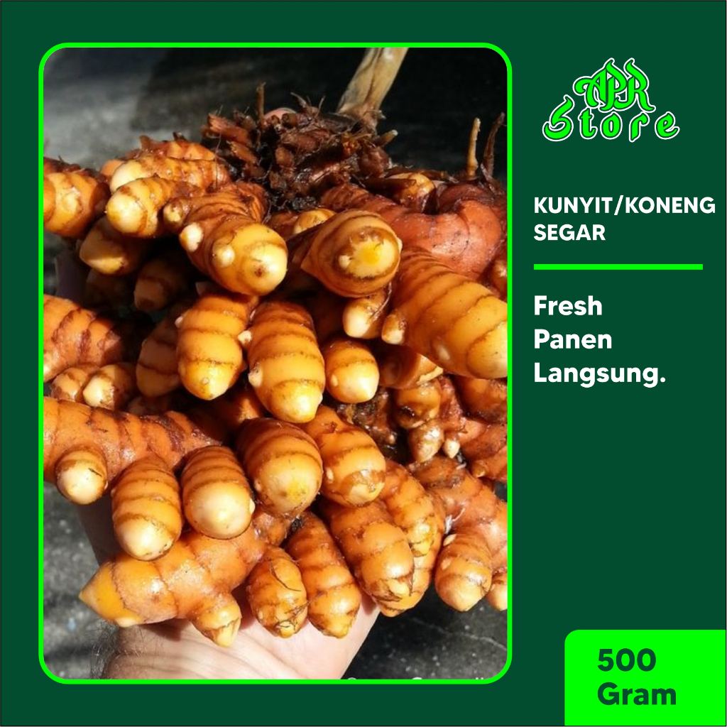 

KUNIR SEGAR KUNYIT FRESH SEGAR TERMURAH KUNYIT JAMU ORGANIK