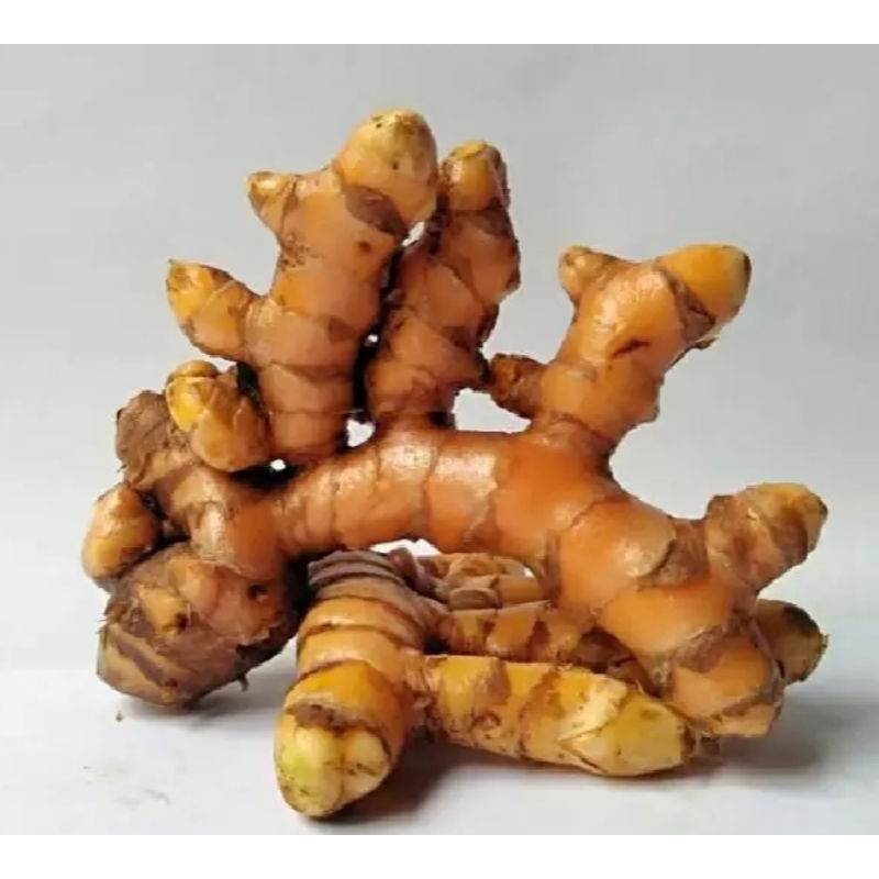 

kunyit segar 1KG