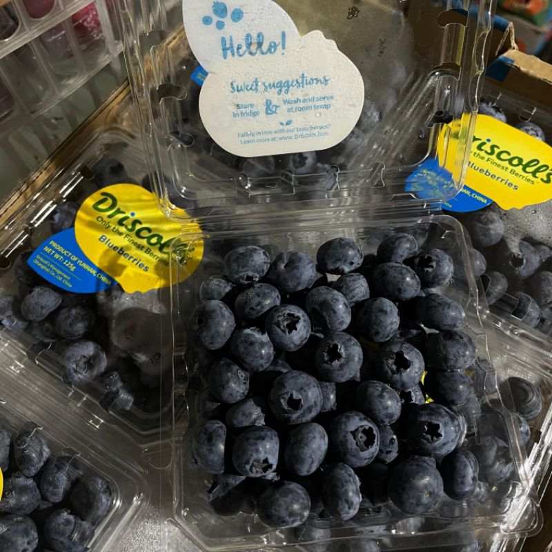 

BLUEBERRY DRISCOLL (PACK)