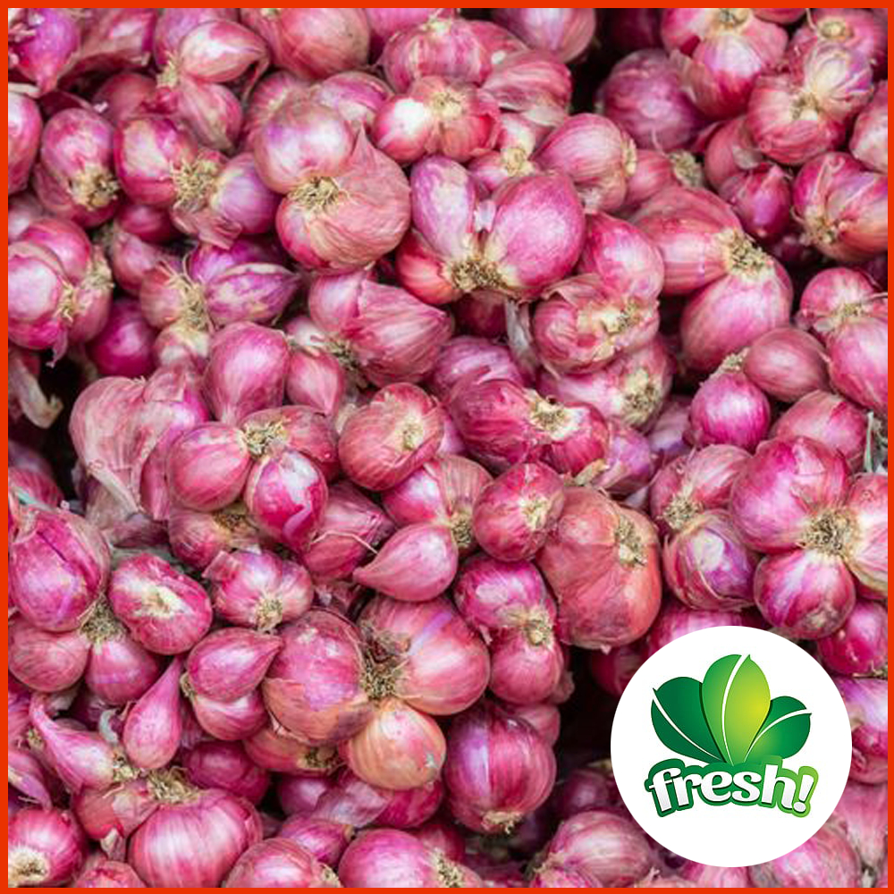

Bawang Merah Nganjuk